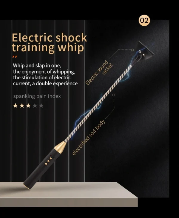 Electric Whip，BDSM Electric Whip，Sex Electric Whip，ZW-019 Electric shock training whip (2)