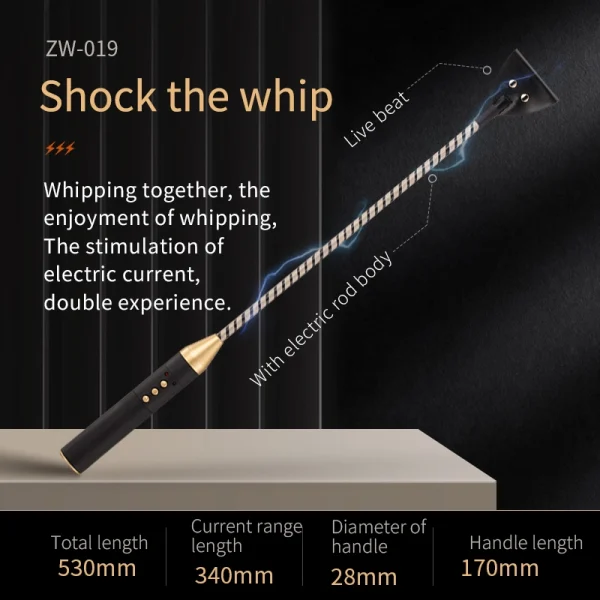 Electric Whip，BDSM Electric Whip，Sex Electric Whip，ZW-019 Electric shock training whip (3)