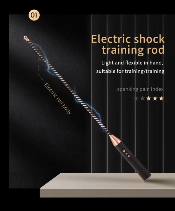 Electric Whip，BDSM Electric Whip，Sex Electric Whip，ZW-112 Electric shock training rod (2)