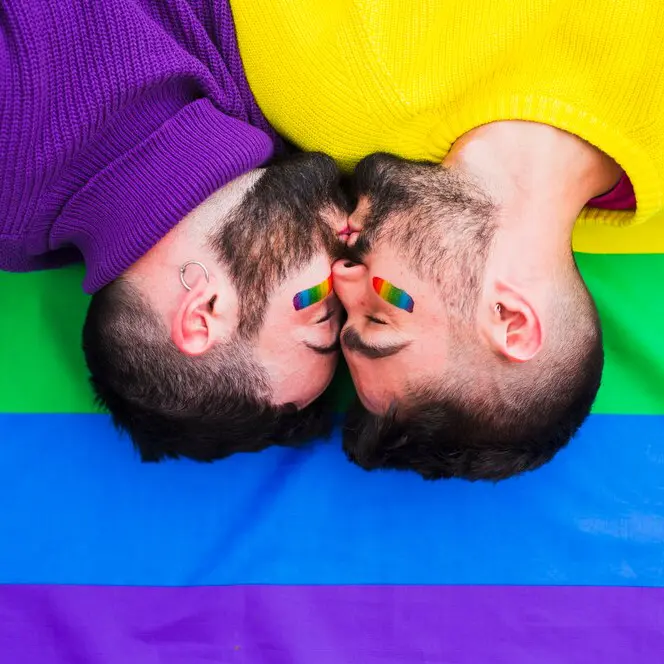 Gay Toys，Gay Sex Toys，Gay Sex Store (10)