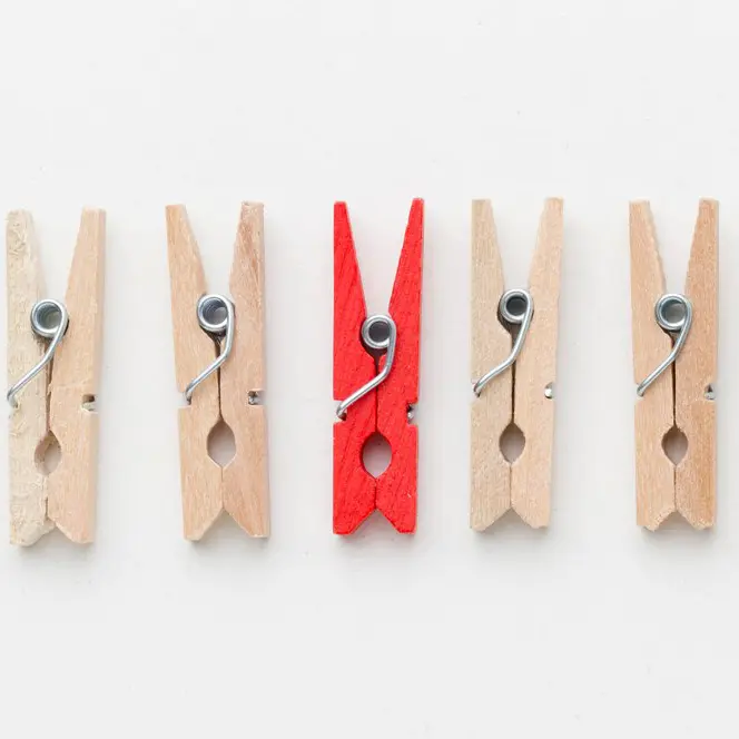 Nipple Clamps，Nipple Toys (9)