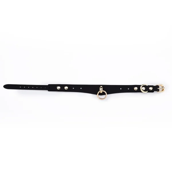BDSM Leash，Collared Bondage，ZW-090 Silicone collar leash (6)