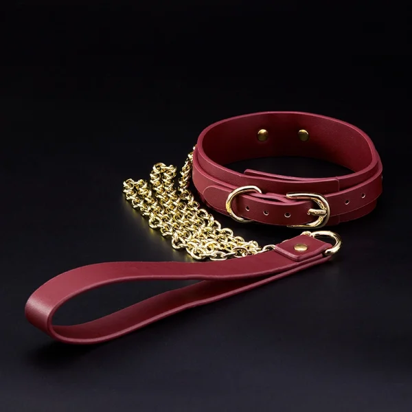 BDSM Leash，Collared Bondage，ZW-094 Collar (3)