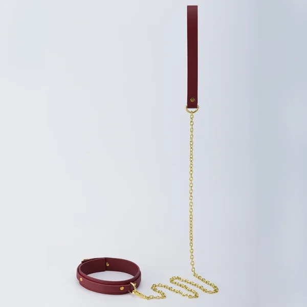 BDSM Leash，Collared Bondage，ZW-094 Collar (4)